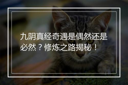 九阴真经奇遇是偶然还是必然？修炼之路揭秘！