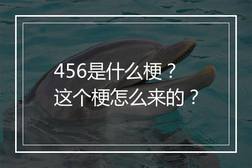 456是什么梗？这个梗怎么来的？