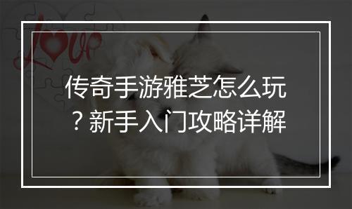 传奇手游雅芝怎么玩？新手入门攻略详解