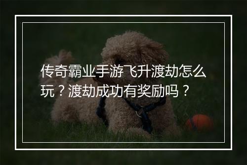 传奇霸业手游飞升渡劫怎么玩？渡劫成功有奖励吗？