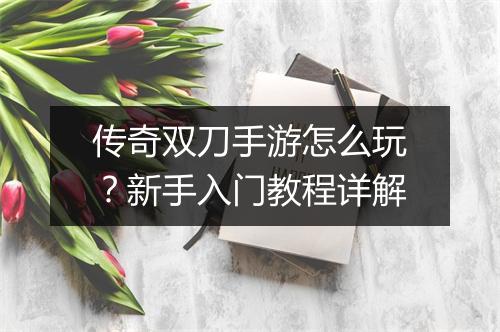 传奇双刀手游怎么玩？新手入门教程详解