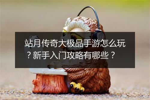 站月传奇大极品手游怎么玩？新手入门攻略有哪些？