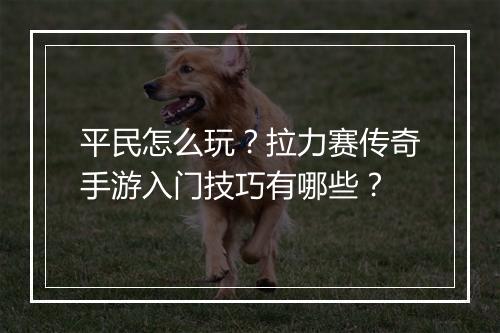 平民怎么玩？拉力赛传奇手游入门技巧有哪些？