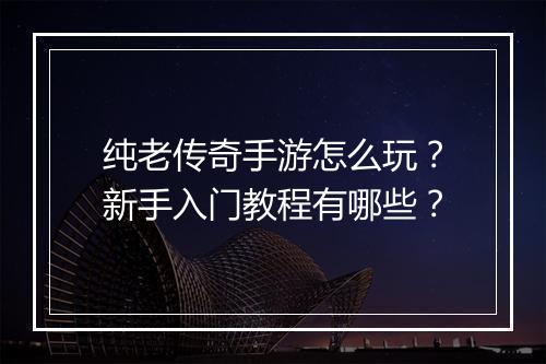 纯老传奇手游怎么玩？新手入门教程有哪些？
