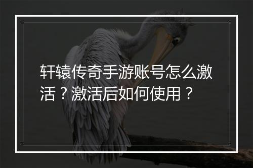 轩辕传奇手游账号怎么激活？激活后如何使用？