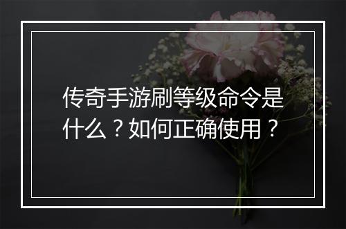 传奇手游刷等级命令是什么？如何正确使用？