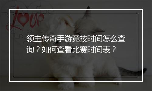 领主传奇手游竞技时间怎么查询？如何查看比赛时间表？