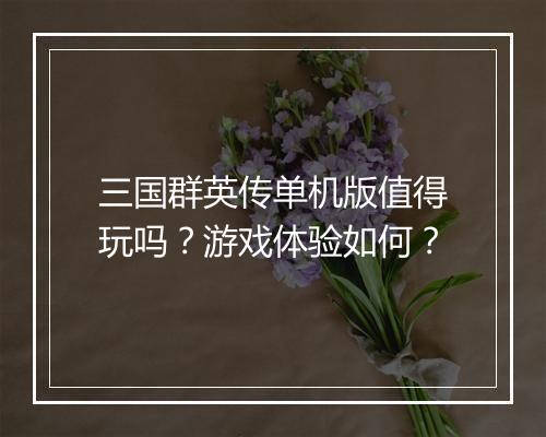 三国群英传单机版值得玩吗？游戏体验如何？