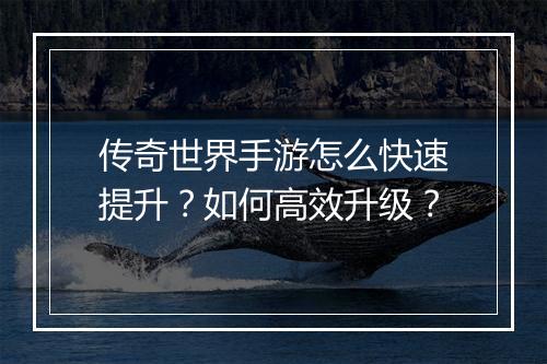 传奇世界手游怎么快速提升？如何高效升级？