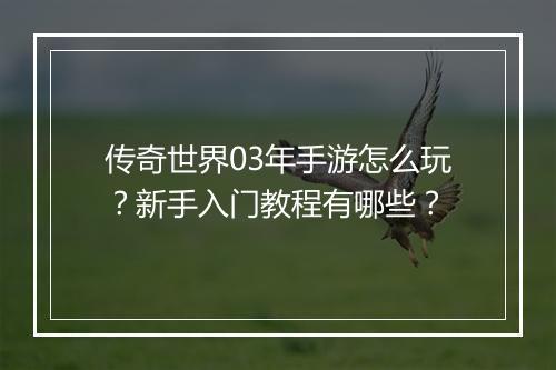 传奇世界03年手游怎么玩?新手入门教程有哪些?