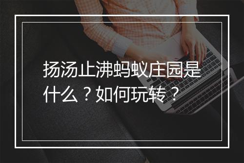 扬汤止沸蚂蚁庄园是什么？如何玩转？