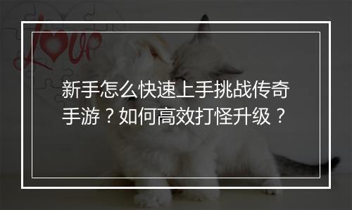 新手怎么快速上手挑战传奇手游？如何高效打怪升级？
