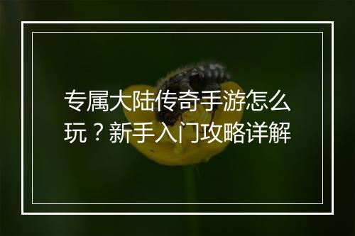 专属大陆传奇手游怎么玩？新手入门攻略详解