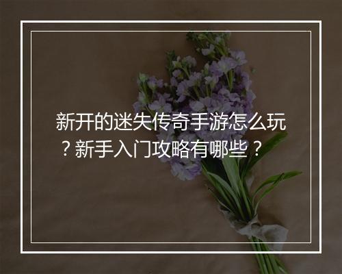 新开的迷失传奇手游怎么玩？新手入门攻略有哪些？