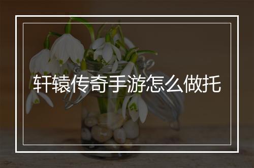 轩辕传奇手游怎么做托