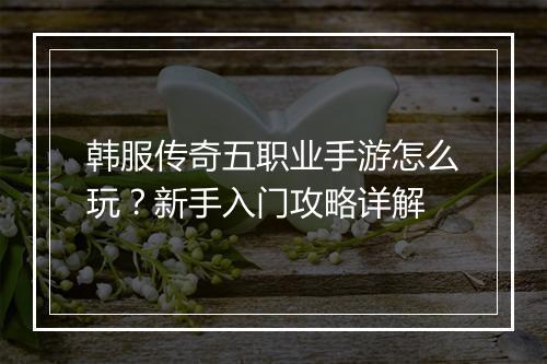 韩服传奇五职业手游怎么玩？新手入门攻略详解