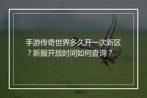 手游传奇世界多久开一次新区？新服开放时间如何查询？