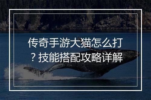 传奇手游大猫怎么打？技能搭配攻略详解