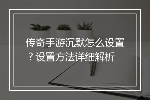 传奇手游沉默怎么设置？设置方法详细解析