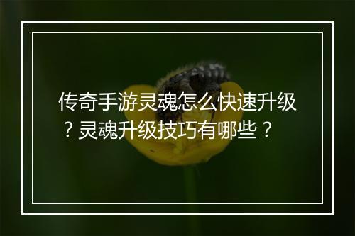 传奇手游灵魂怎么快速升级？灵魂升级技巧有哪些？
