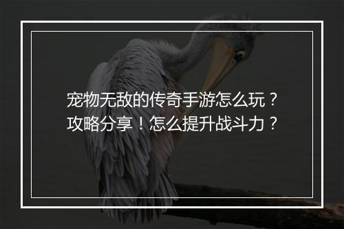 宠物无敌的传奇手游怎么玩？攻略分享！怎么提升战斗力？