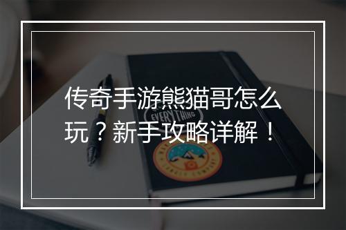 传奇手游熊猫哥怎么玩？新手攻略详解！