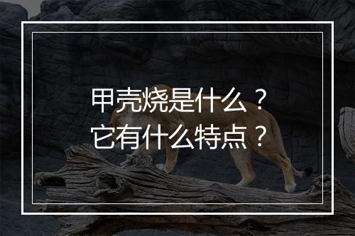 甲壳烧是什么？它有什么特点？