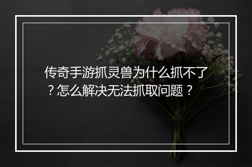 传奇手游抓灵兽为什么抓不了？怎么解决无法抓取问题？