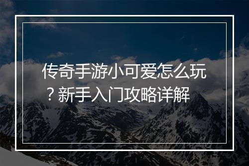 传奇手游小可爱怎么玩？新手入门攻略详解
