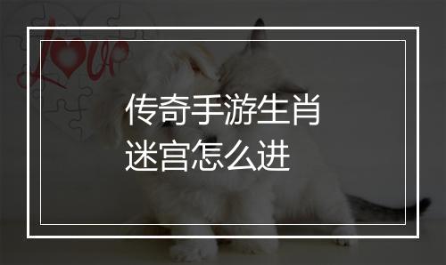 传奇手游生肖迷宫怎么进