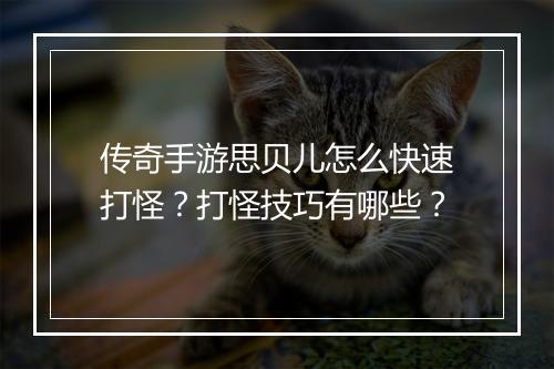 传奇手游思贝儿怎么快速打怪？打怪技巧有哪些？