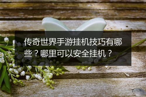 传奇世界手游挂机技巧有哪些？哪里可以安全挂机？
