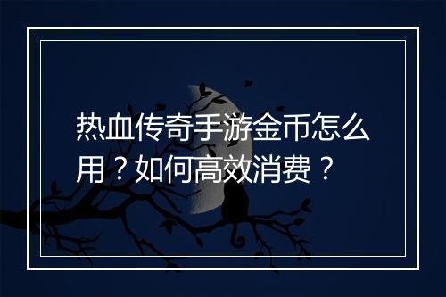 热血传奇手游金币怎么用？如何高效消费？