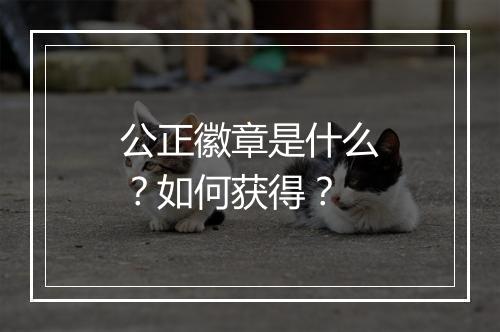 公正徽章是什么？如何获得？