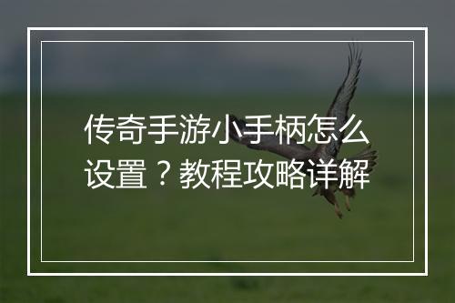 传奇手游小手柄怎么设置？教程攻略详解