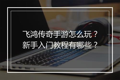 飞鸿传奇手游怎么玩？新手入门教程有哪些？