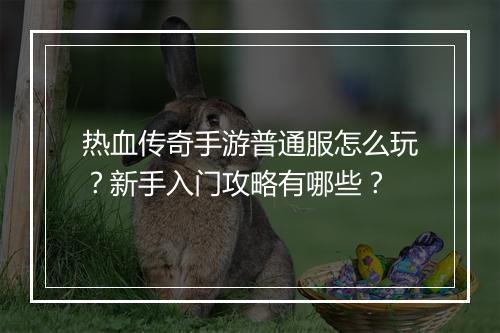 热血传奇手游普通服怎么玩？新手入门攻略有哪些？