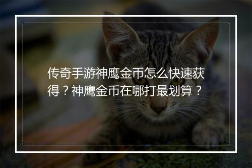 传奇手游神鹰金币怎么快速获得？神鹰金币在哪打最划算？