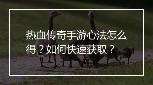 热血传奇手游心法怎么得？如何快速获取？