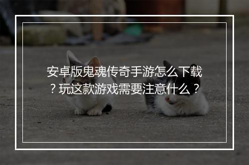 安卓版鬼魂传奇手游怎么下载？玩这款游戏需要注意什么？