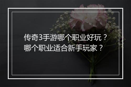 传奇3手游哪个职业好玩？哪个职业适合新手玩家？