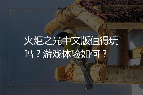 火炬之光中文版值得玩吗？游戏体验如何？