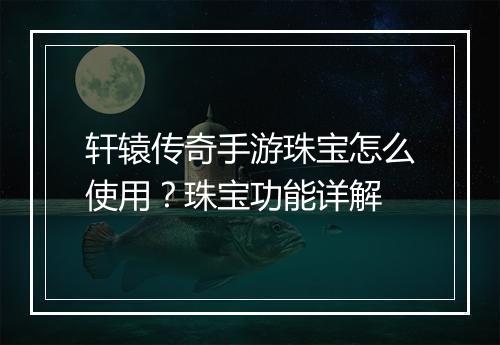 轩辕传奇手游珠宝怎么使用？珠宝功能详解