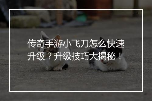 传奇手游小飞刀怎么快速升级？升级技巧大揭秘！