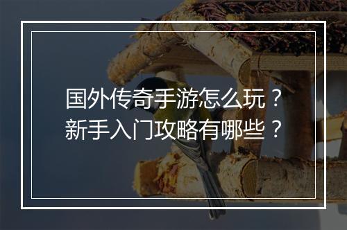 国外传奇手游怎么玩？新手入门攻略有哪些？