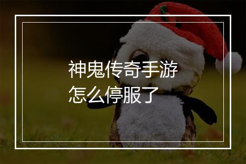 神鬼传奇手游怎么停服了