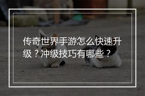 传奇世界手游怎么快速升级？冲级技巧有哪些？