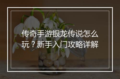 传奇手游银龙传说怎么玩？新手入门攻略详解