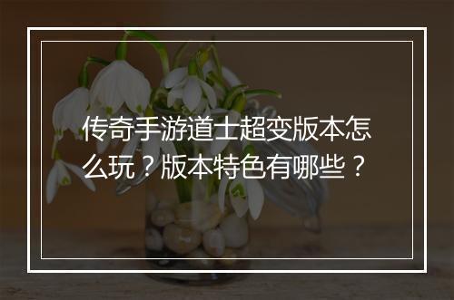 传奇手游道士超变版本怎么玩？版本特色有哪些？