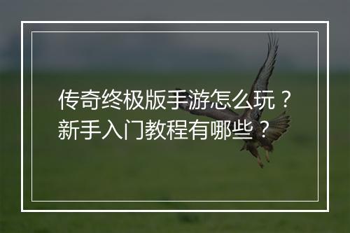 传奇终极版手游怎么玩？新手入门教程有哪些？